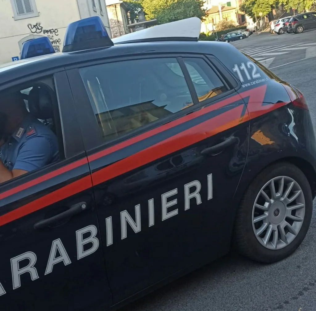 MONTEROTONDO - Pitbull scappano dal cortile e si azzuffano con un altro cane