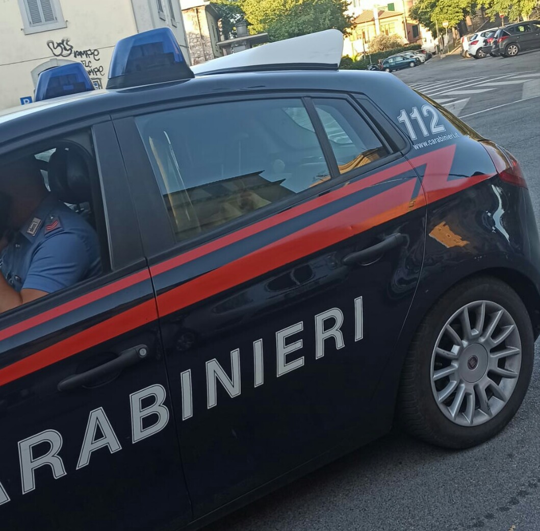 Curiosava durante l'operazione dei carabinieri, doveva ...