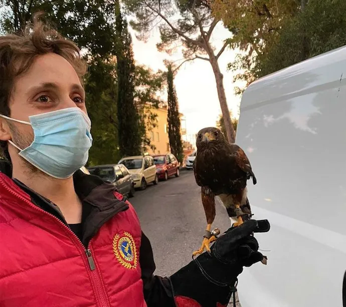 falconieri monterotondo