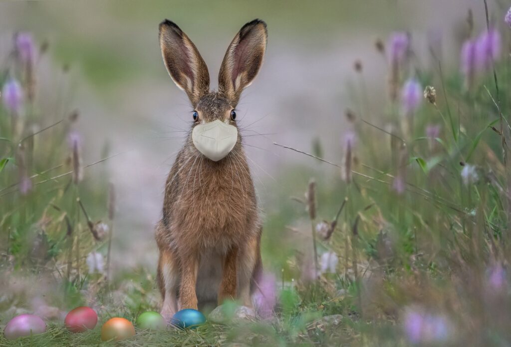 Pasqua