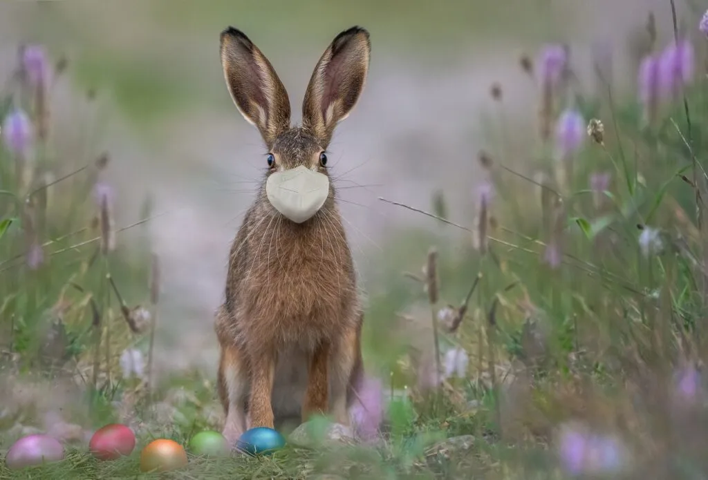 Pasqua