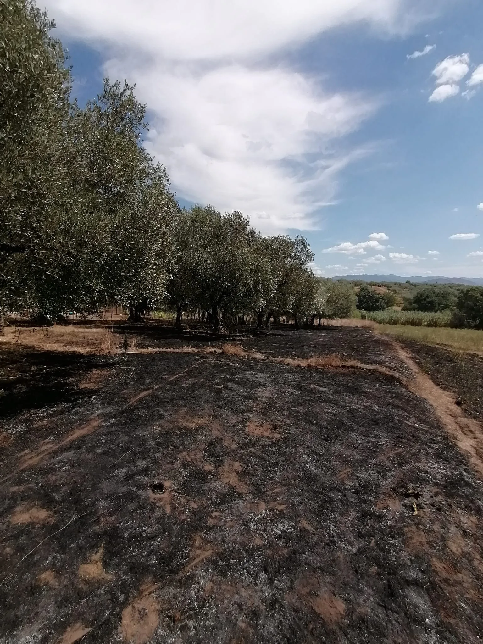 Incendio a via di Formello, sul posto NVG, VVA e vigili del fuoco