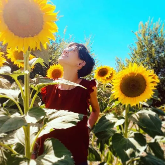 Francesca Uneddu nel campo di girasoli