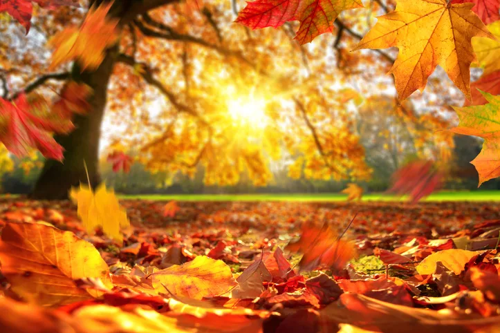 Arriva l'autunno, come affrontare il cambio di stagione