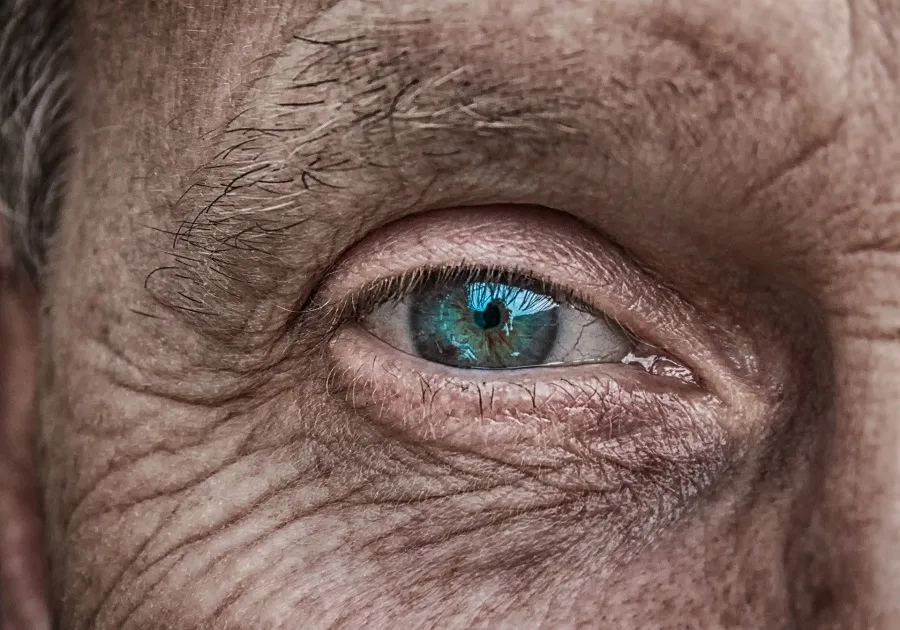 pensioni