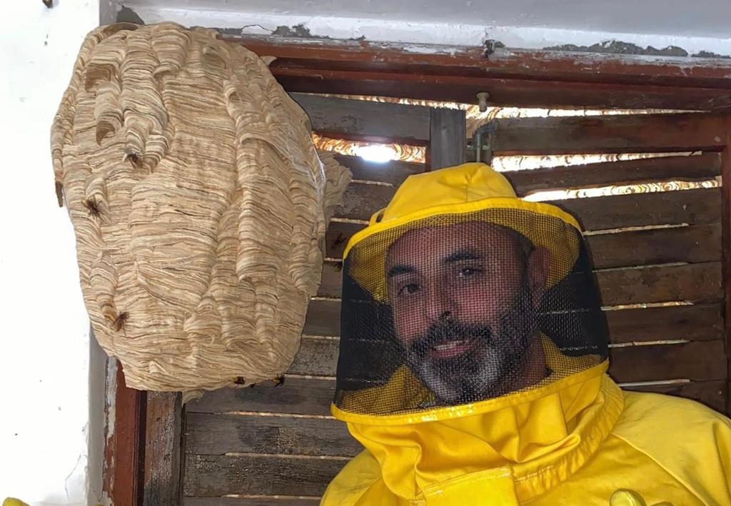 MAZZANO – Scoperto un enorme nido di calabroni, “un'opera d'arte ...