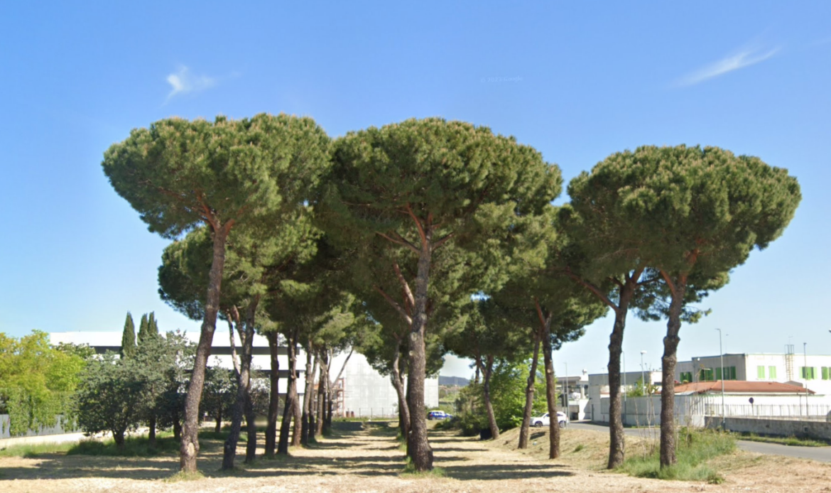 FIANO ROMANO - La “Pomili Demolizioni” vuole gestire l'area camper per turisti
