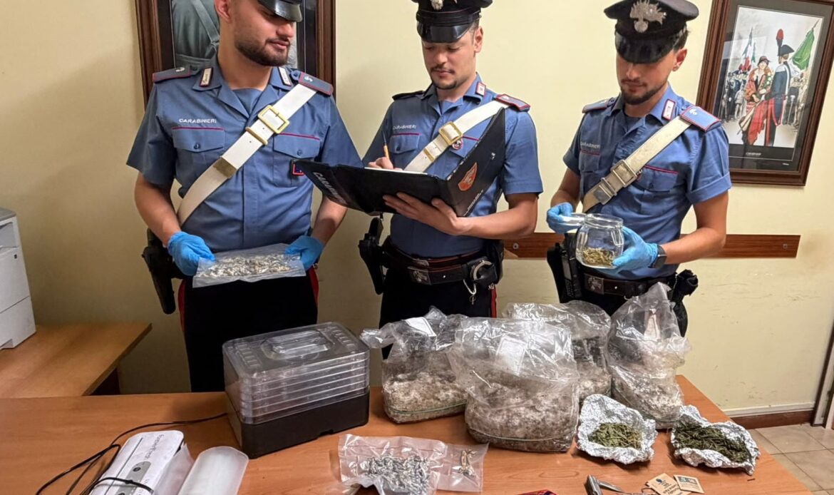 CICILIANO - Funghi allucinogeni e cannabinoidi in casa: preso 20enne italiano