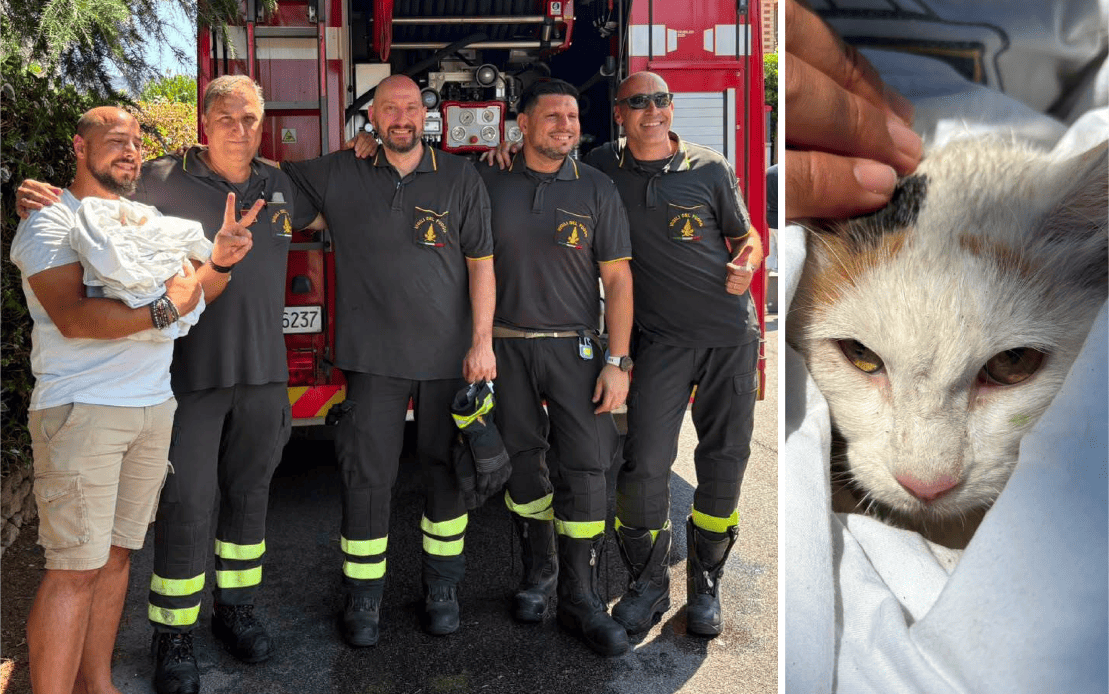 TIVOLI - Intrappolata da 5 giorni su un pino: Aria salvata dai vigili del fuoco
