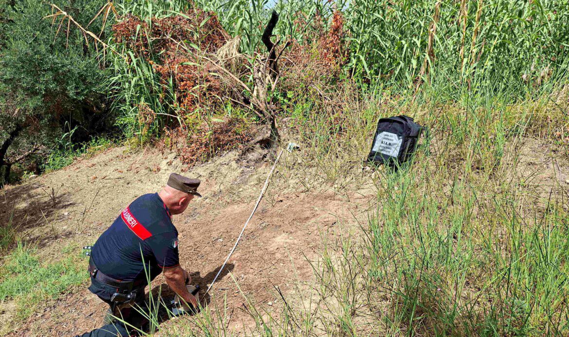 MARCELLINA - Bruciano le potature e incendiano l'uliveto del vicino: denunciati padre e figlio