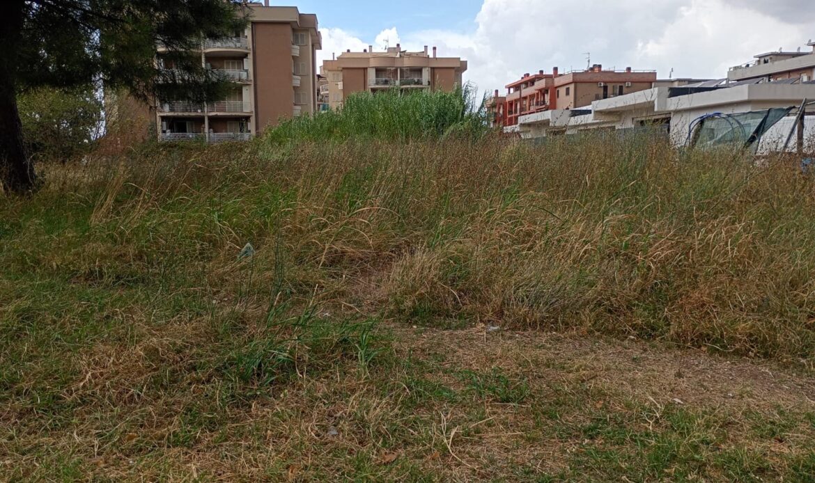 TIVOLI - Sterpaglie a ridosso di case e scuola: sos dei residenti a Comune, Asl e Carabinieri