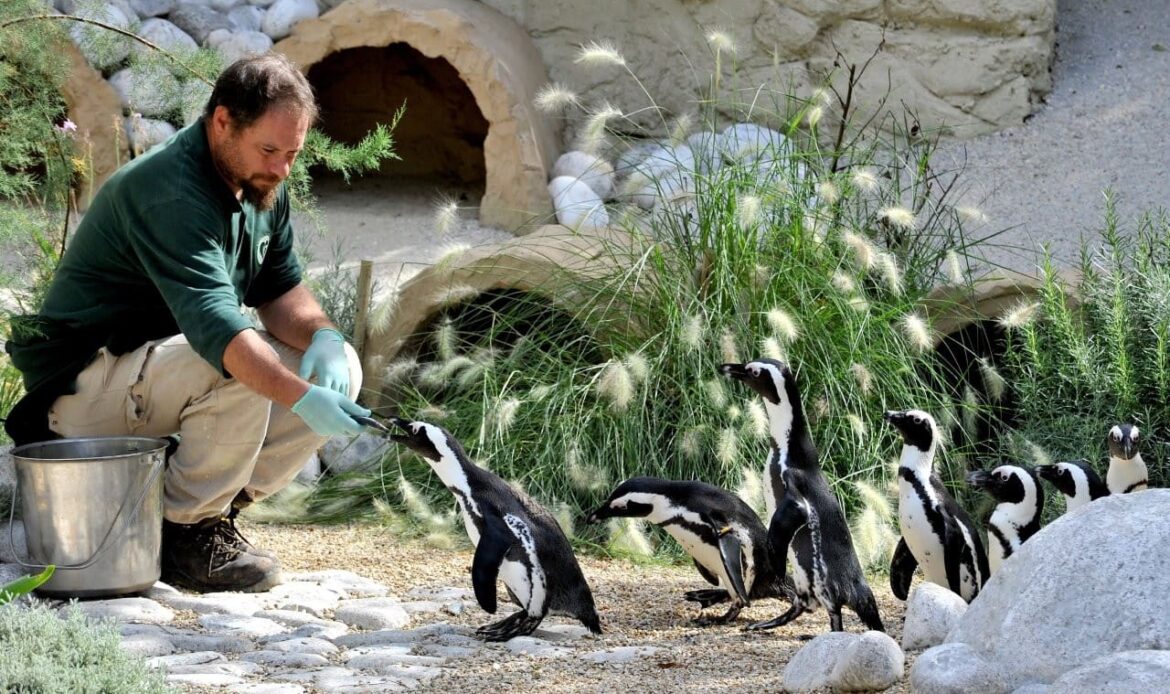 Ferragosto 2026 al Bioparco di Roma