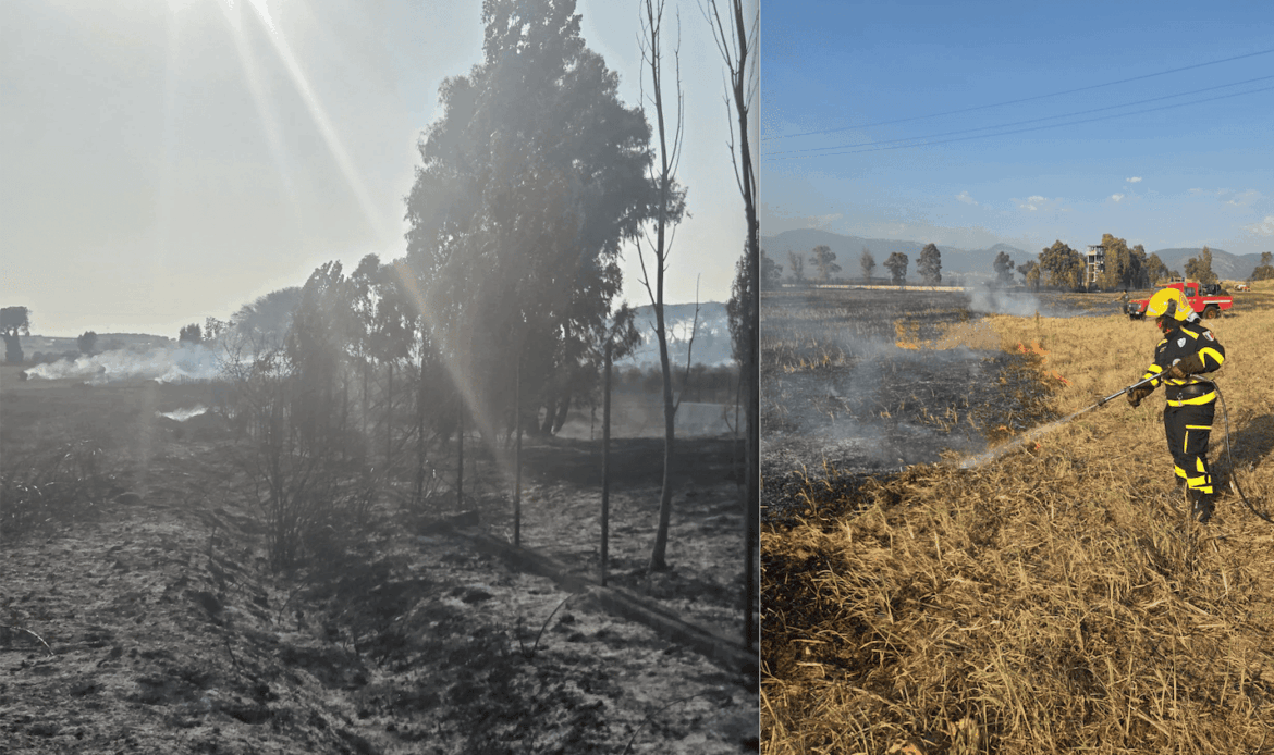 TIVOLI GUIDONIA - Estate rovente, bruciano 40 ettari di vegetazione
