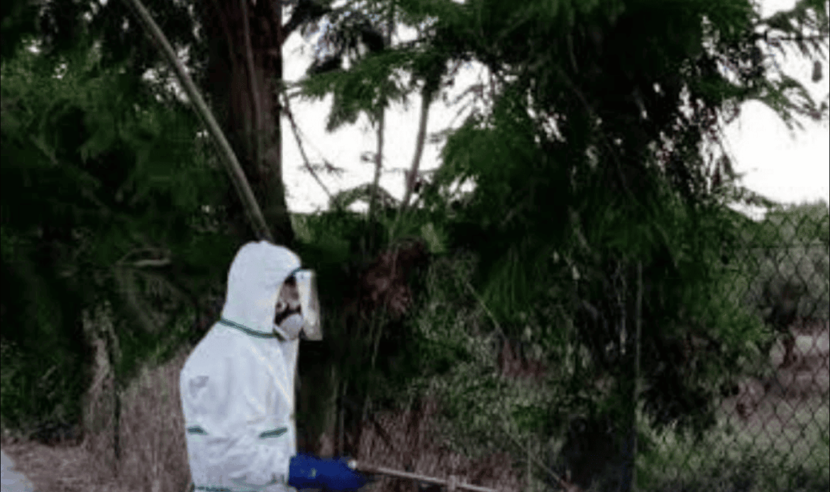 TIVOLI – West Nile Virus, l’opposizione attacca: “Disinfestazione a sorpresa”