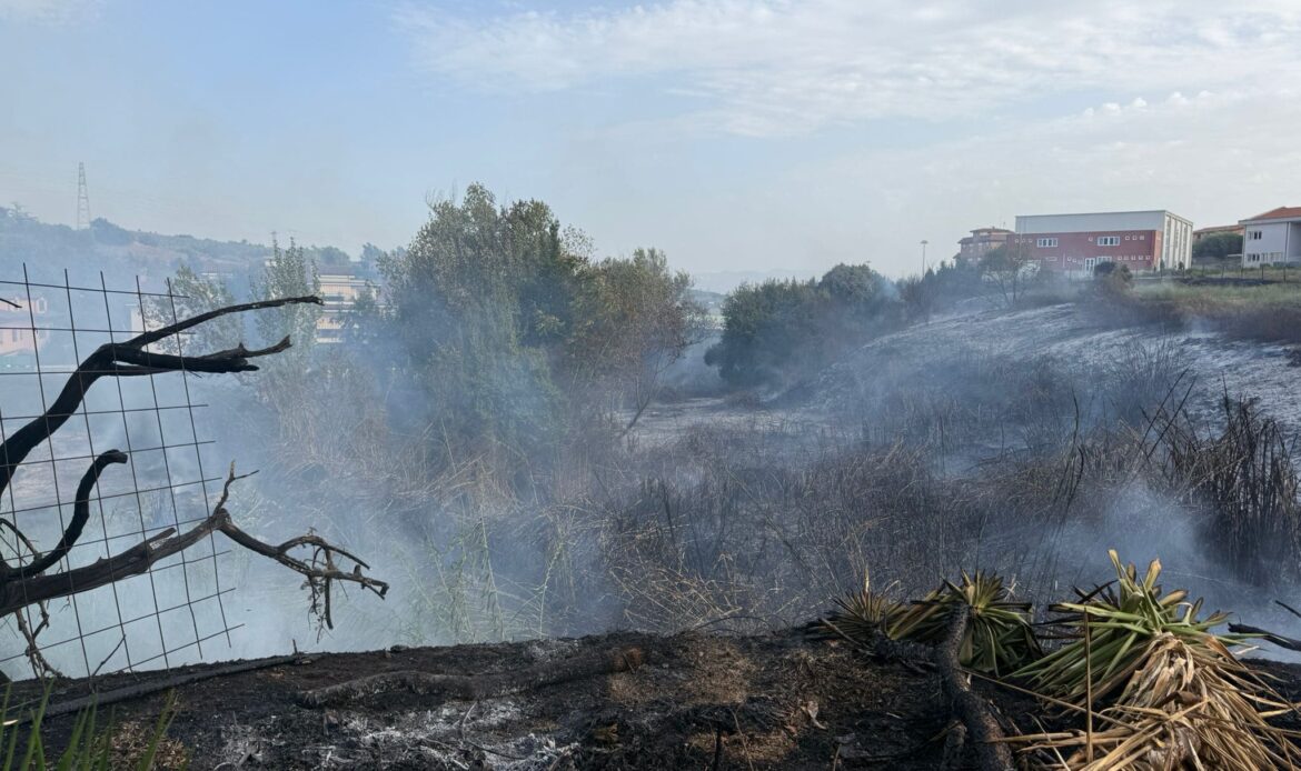 FONTE NUOVA - Scooter in fiamme, bruciano le sterpaglie a ridosso della Nomentana Bis