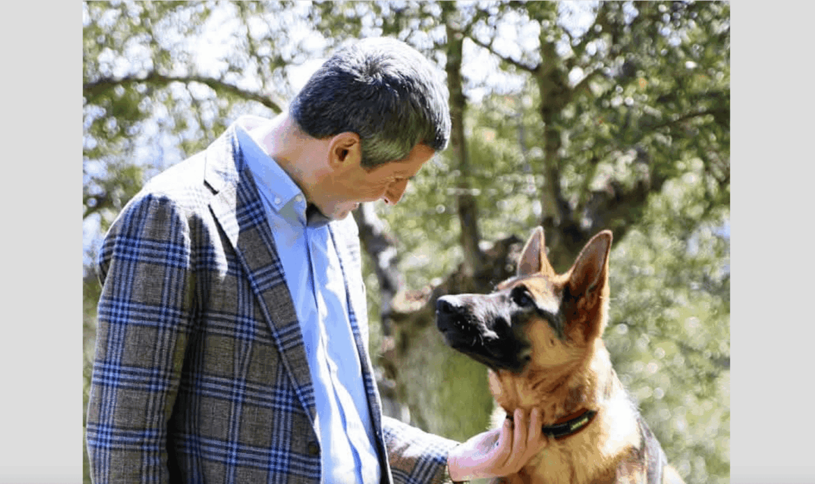 GUIDONIA - Il Comune aderisce al progetto Lav per salvare i cani delle cave