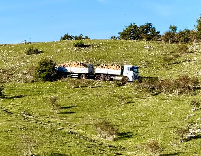 SUBIACO -