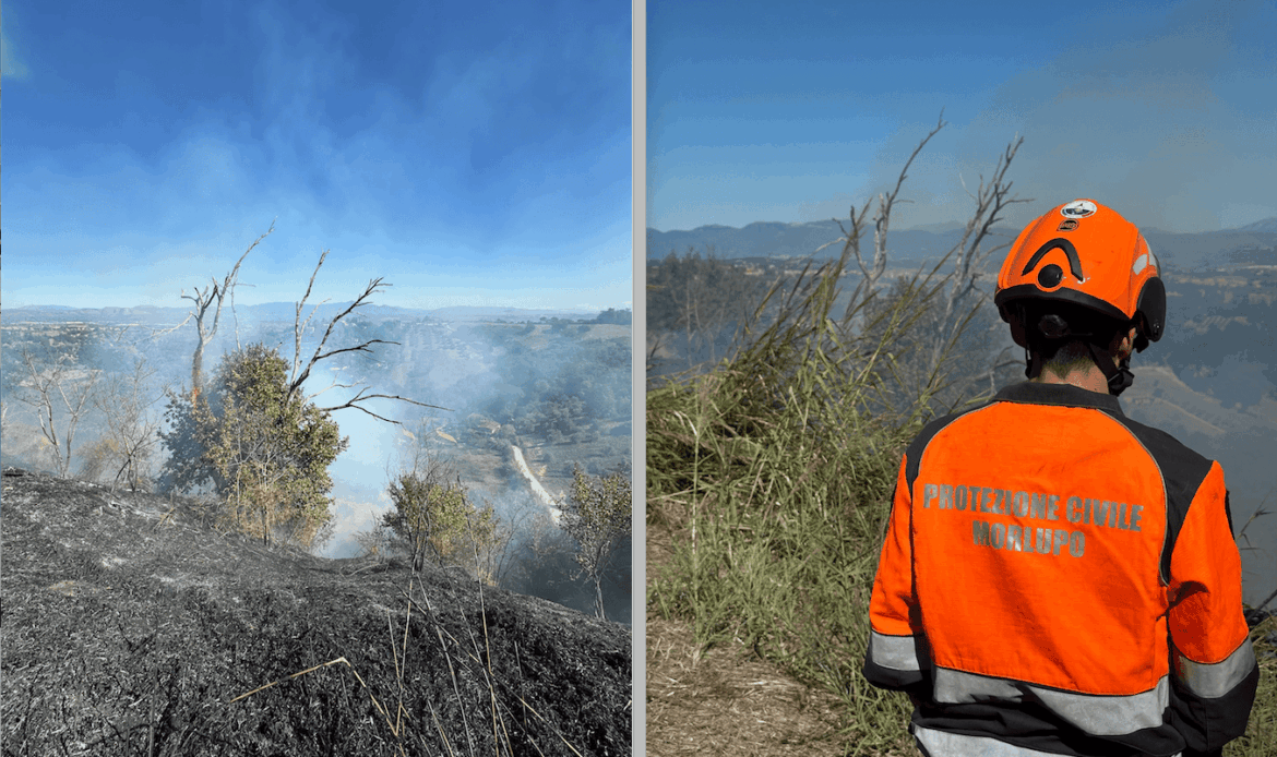 MORLUPO - Sterpaglie e ulivi in fiamme, brucia Poggio Sereno