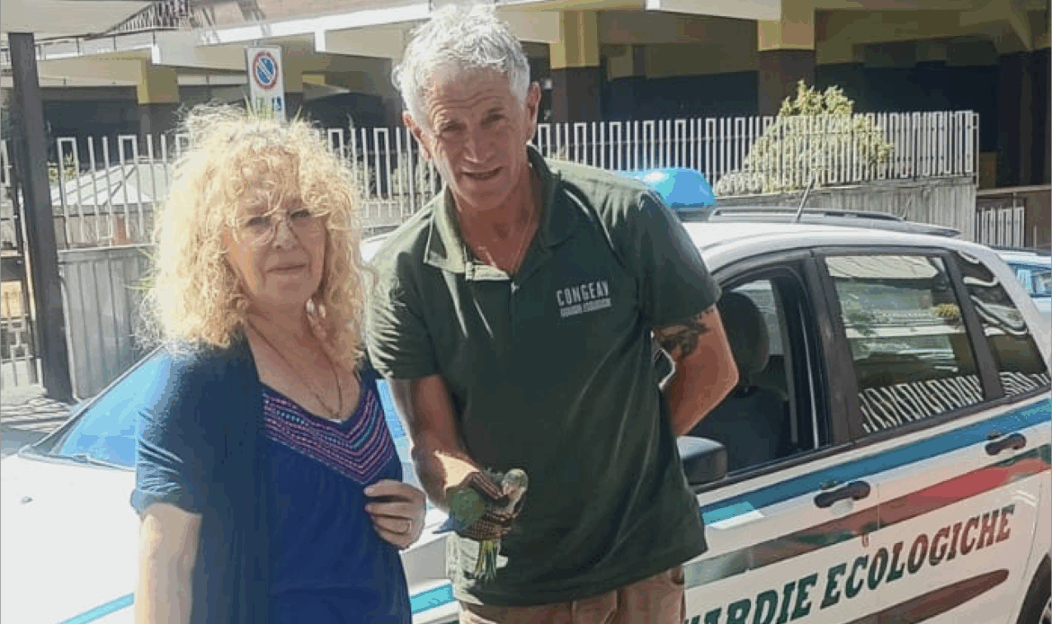 GUIDONIA – Pullo di pappagallo salvato dalle Guardie Ecologiche