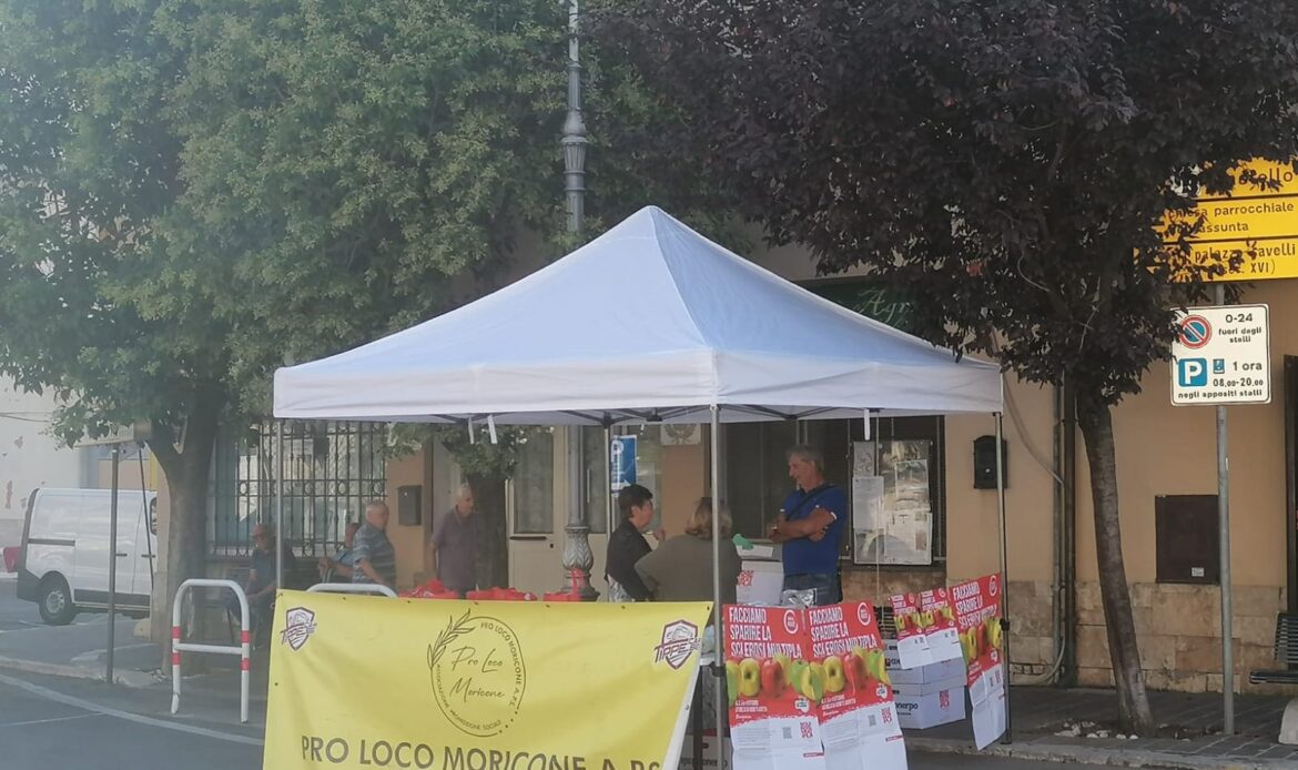 MORICONE – Raccolta fondi per la ricerca sulla sclerosi multipla